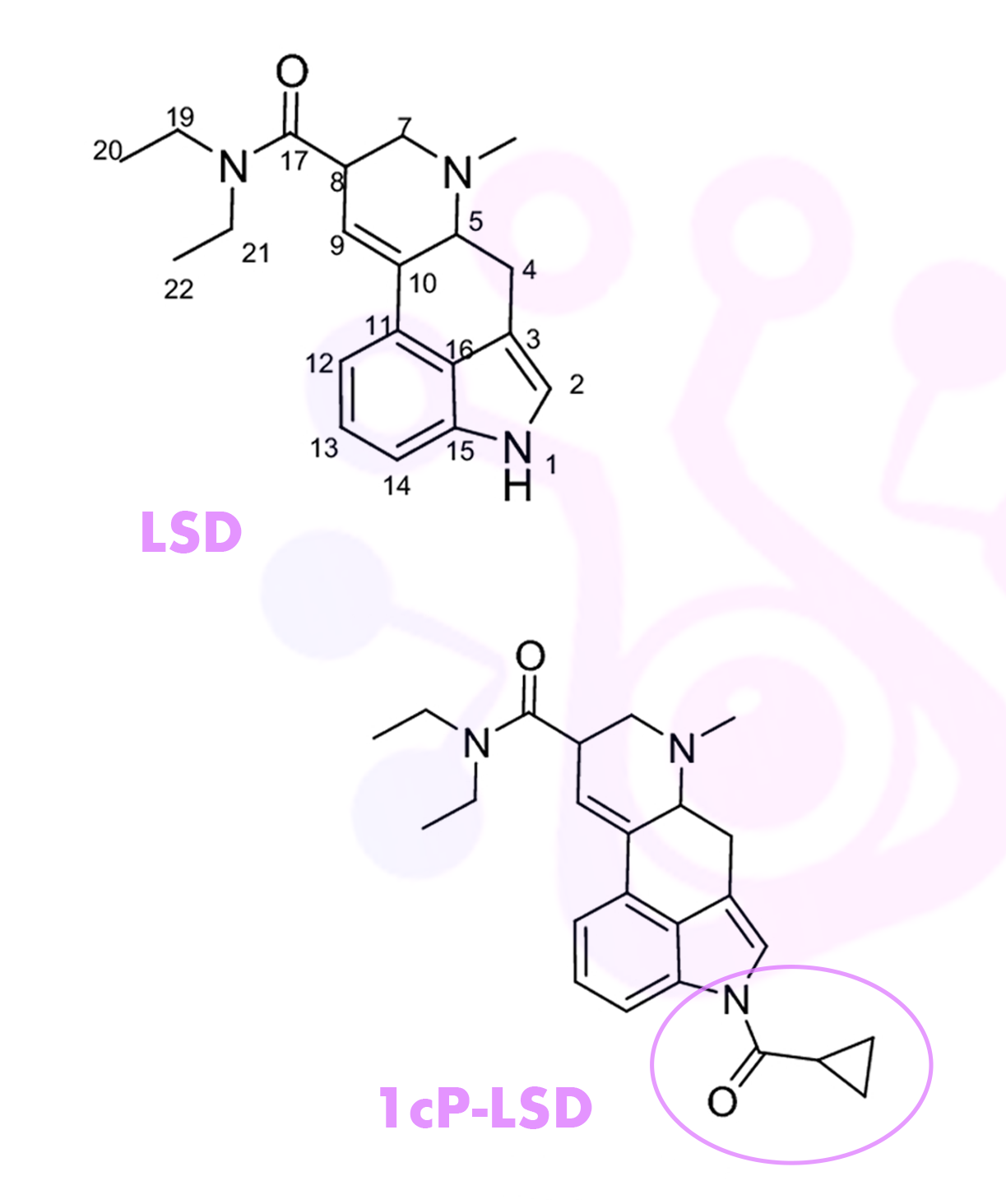 LSD a 1cp-LSD Alchemind.cz